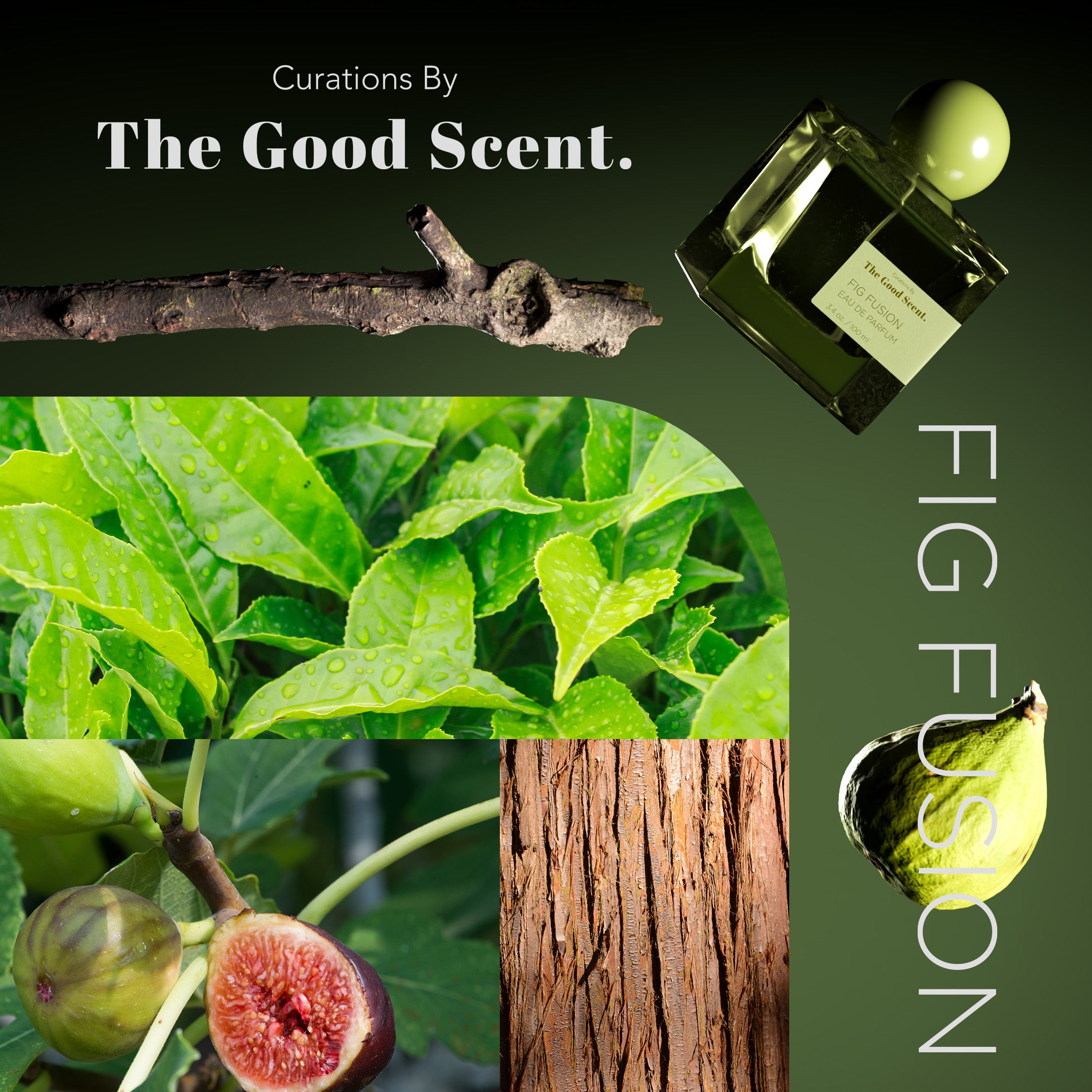 Fig Fusion Perfume