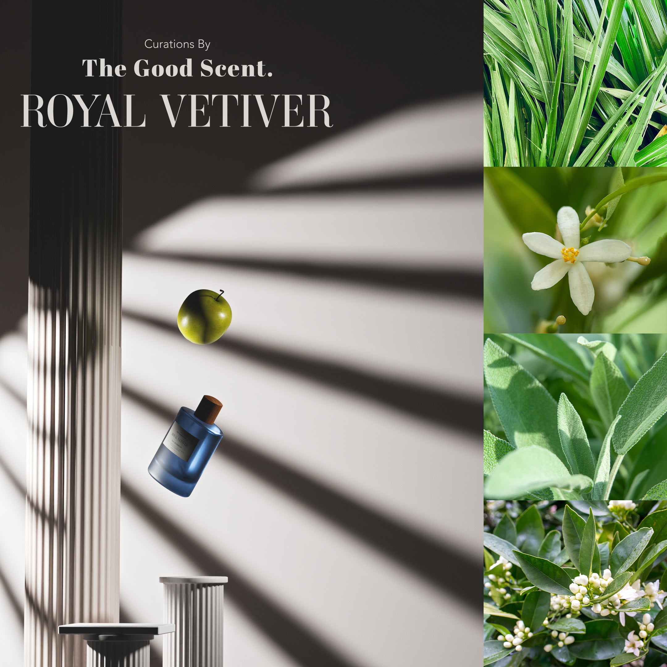 Royal Vetiver Cologne