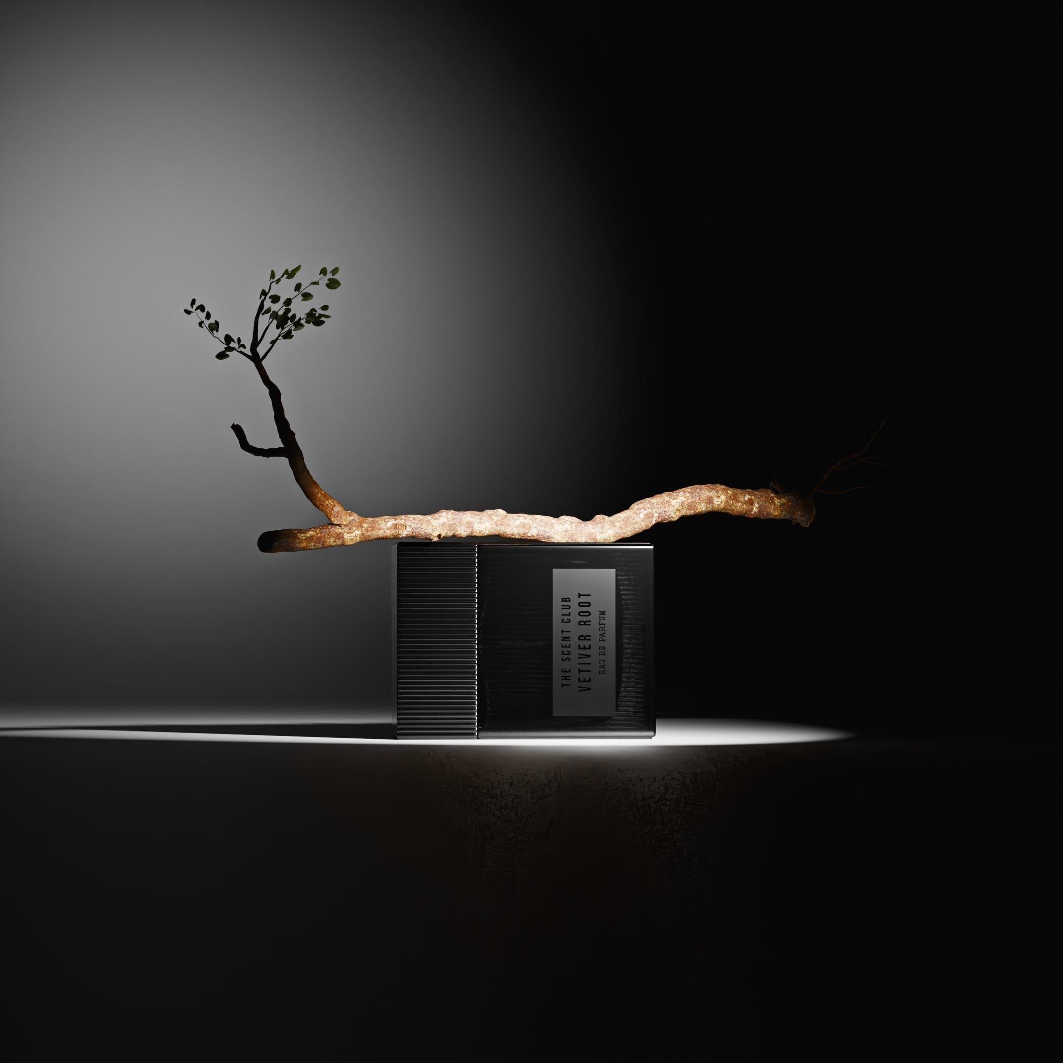 Vetiver Root Cologne